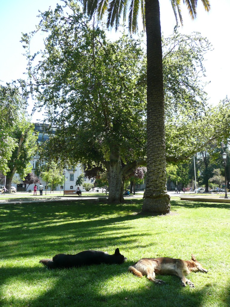 P1060588