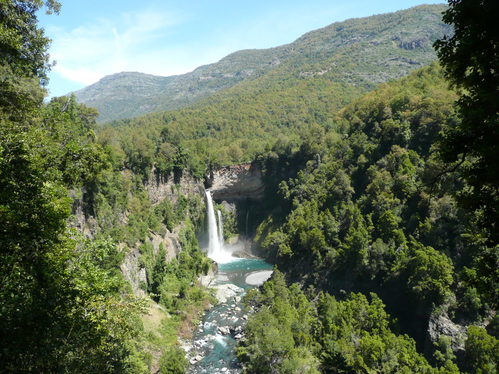 Siete Tazas