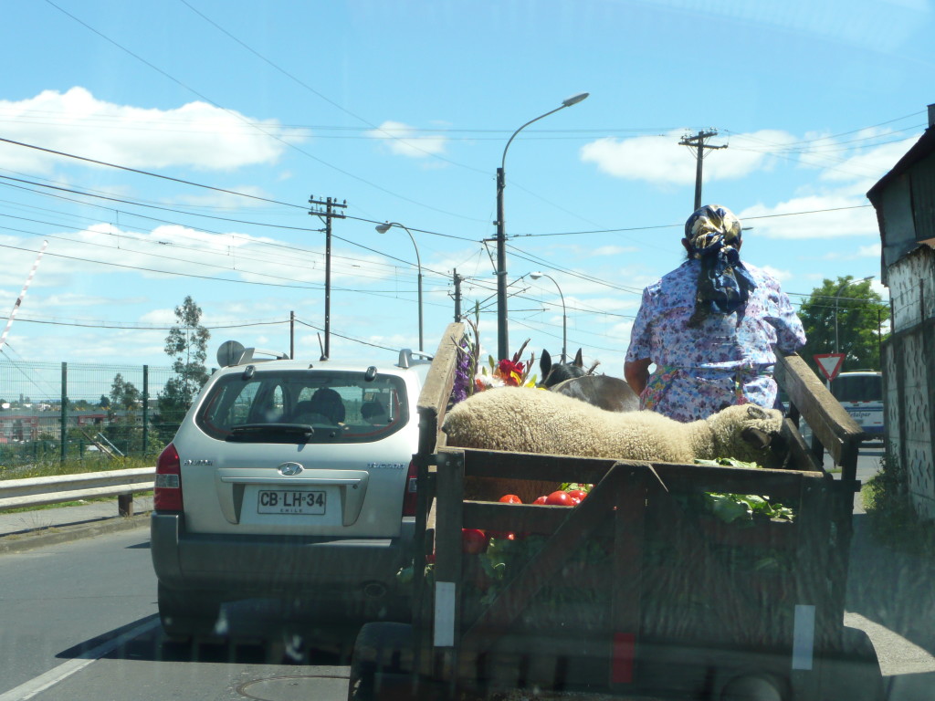 Stuck in traffic in Temuco