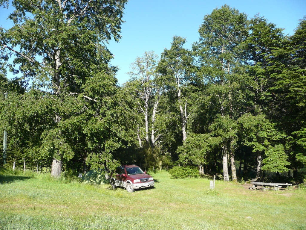 Tent is behind the car, nicely blending in with the scenery!