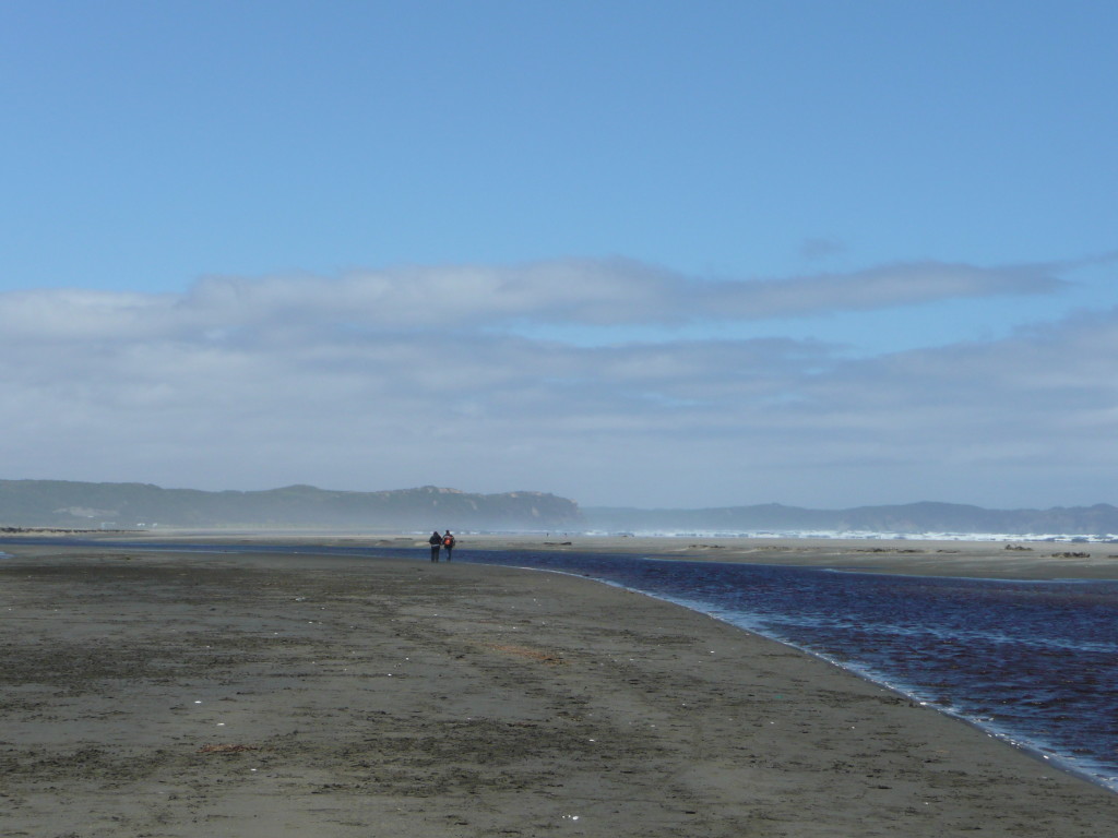 The beach so close and yet so far... one of the more disappointing walks we've done.