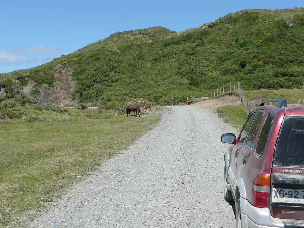 My first stint of four wheel driving. Fun!