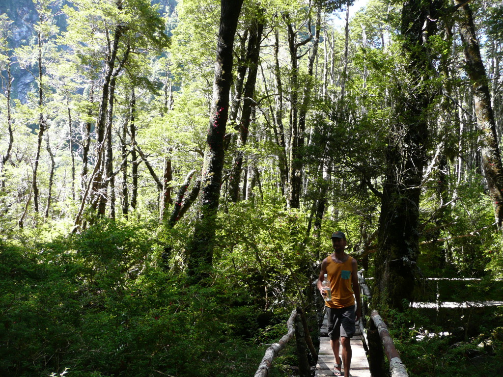 A walk in the Enchanted Forest was quite mystical/magical, great trail