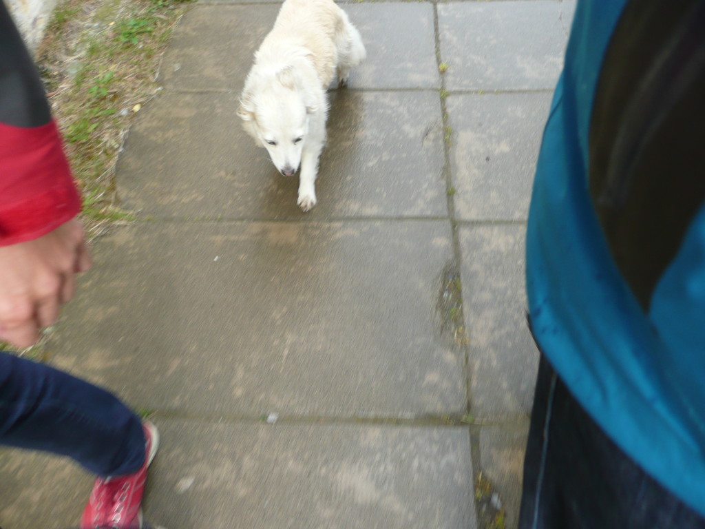 Still following... Eventually we walked back to the car and sat in it until she went away.