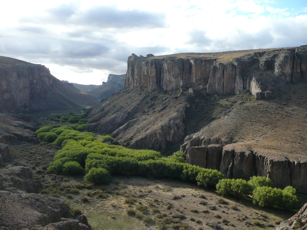 Canyon in which the Cave of the Hands is