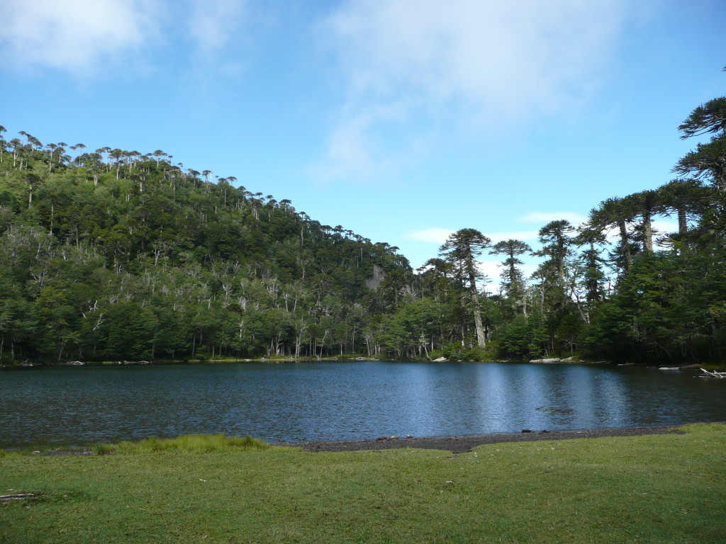 P1070831