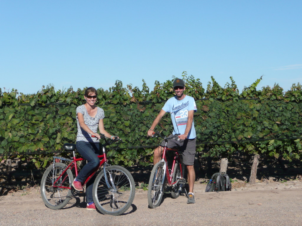 Cycling and wine tasting in Maipu, the good life.