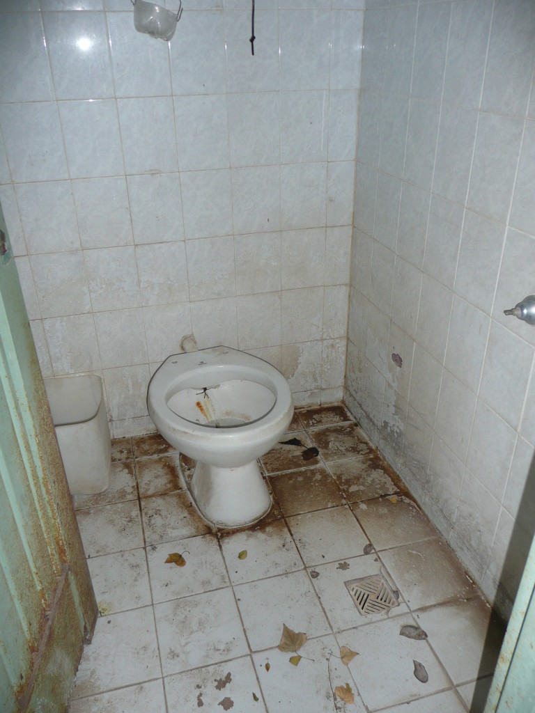 Here is a distant shot of the bathroom. We'll spare you the "inside" look of it.