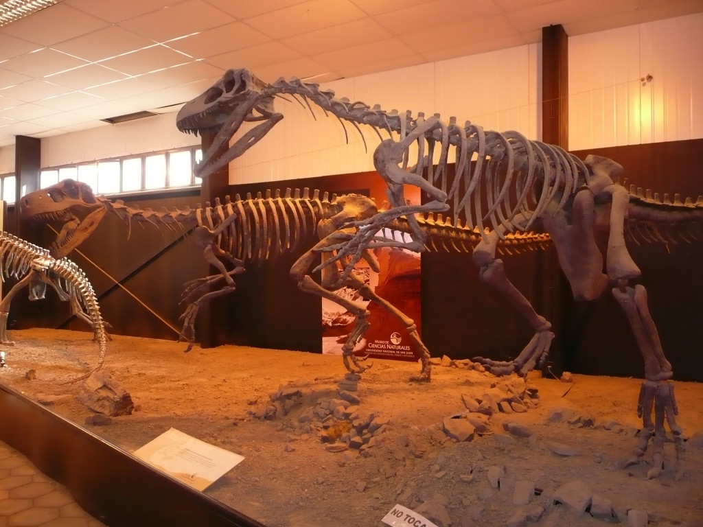 One of the dinosaur fossils discovered at the park, this is actually a replica.