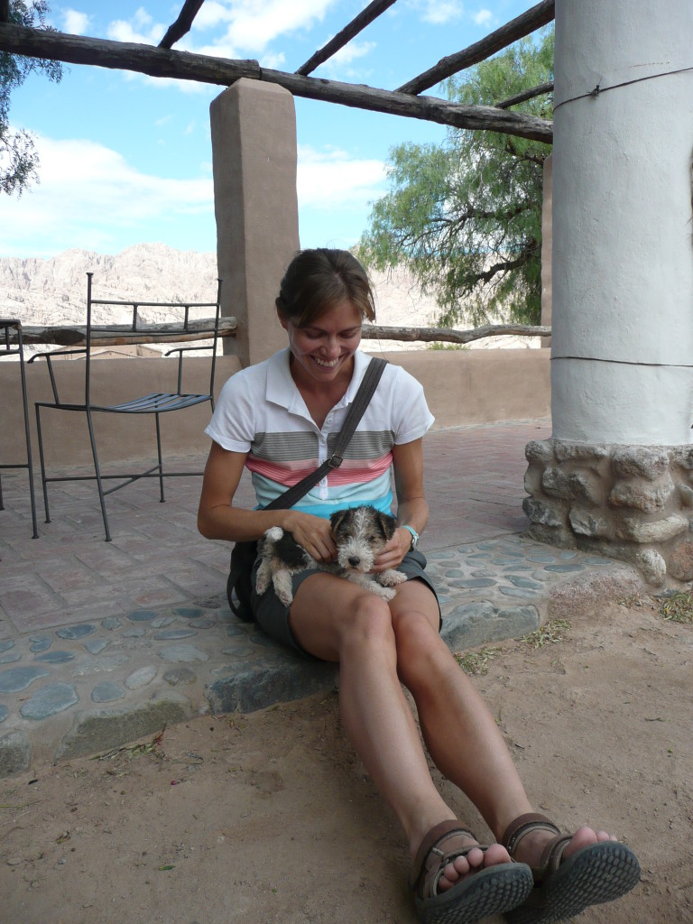 I loved playing with the cute one month old puppy.