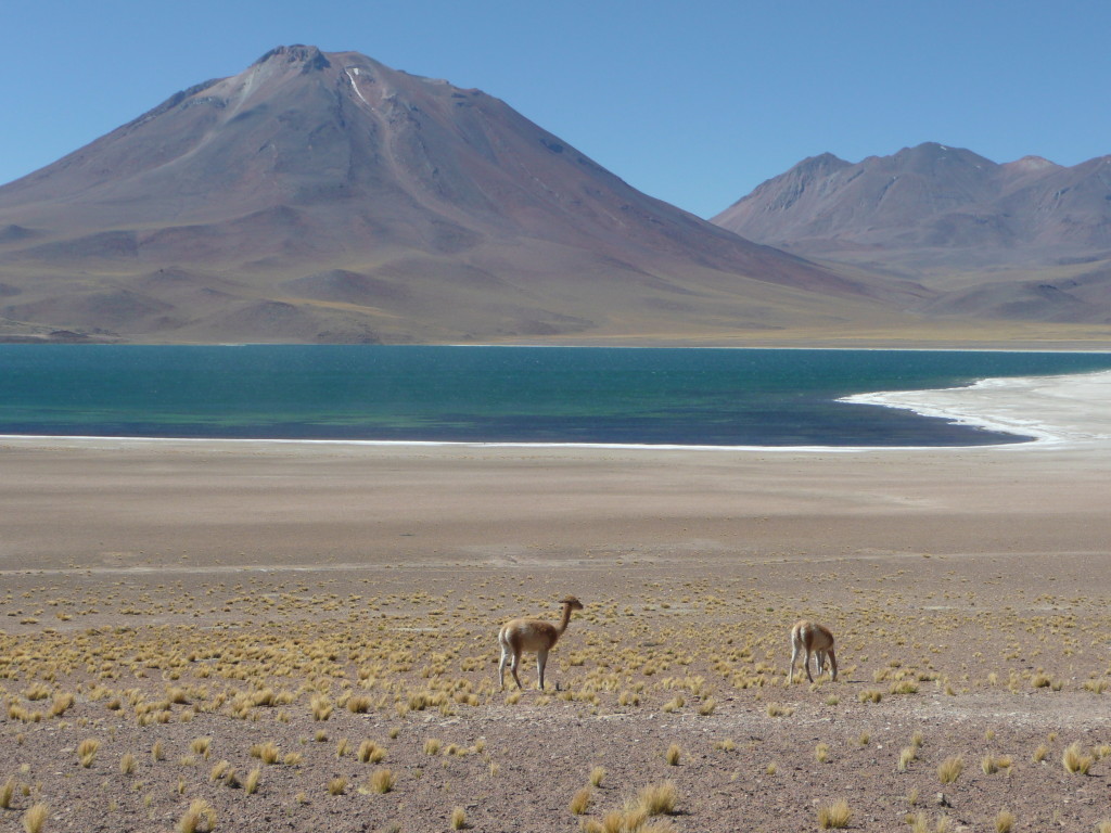 Altiplano lakes