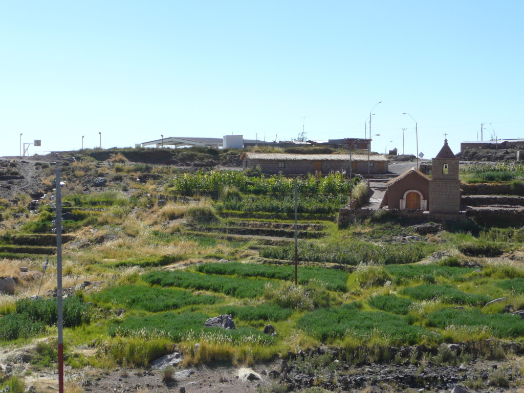 Incan terraces still in use today.