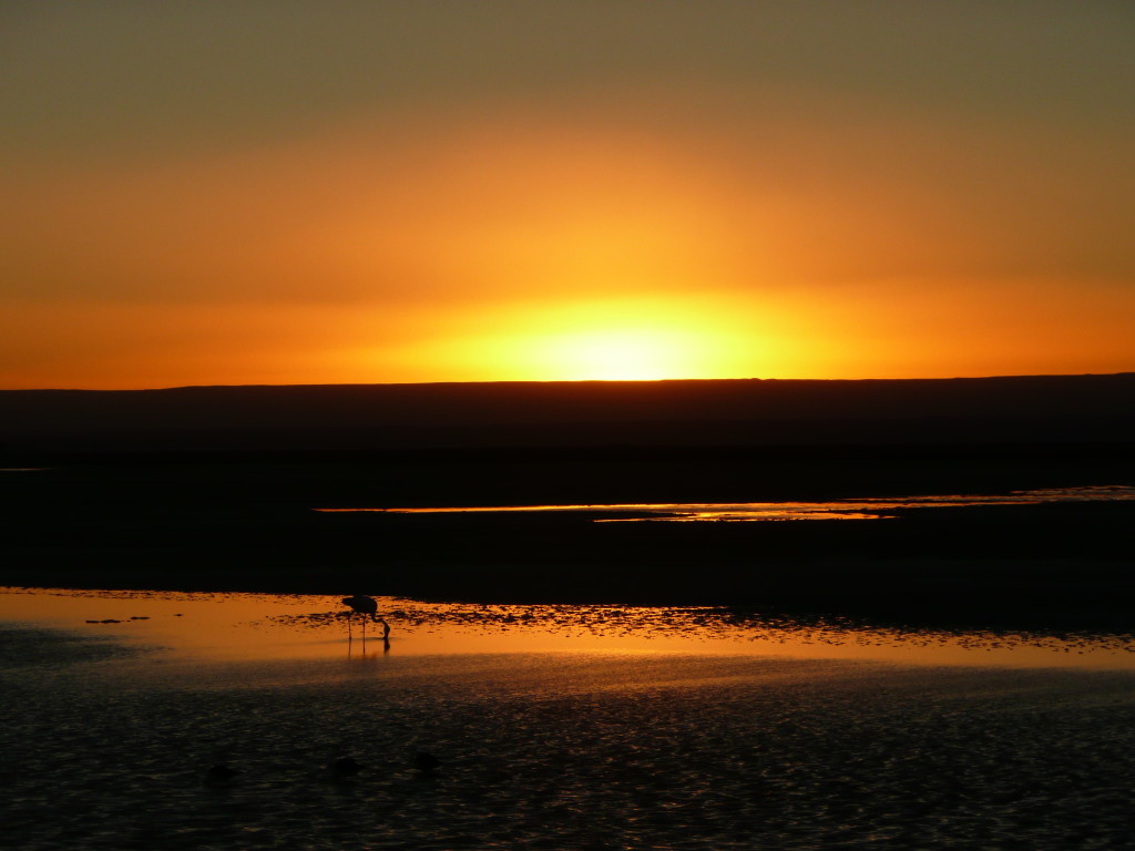 Laguna Chaxa sunset.