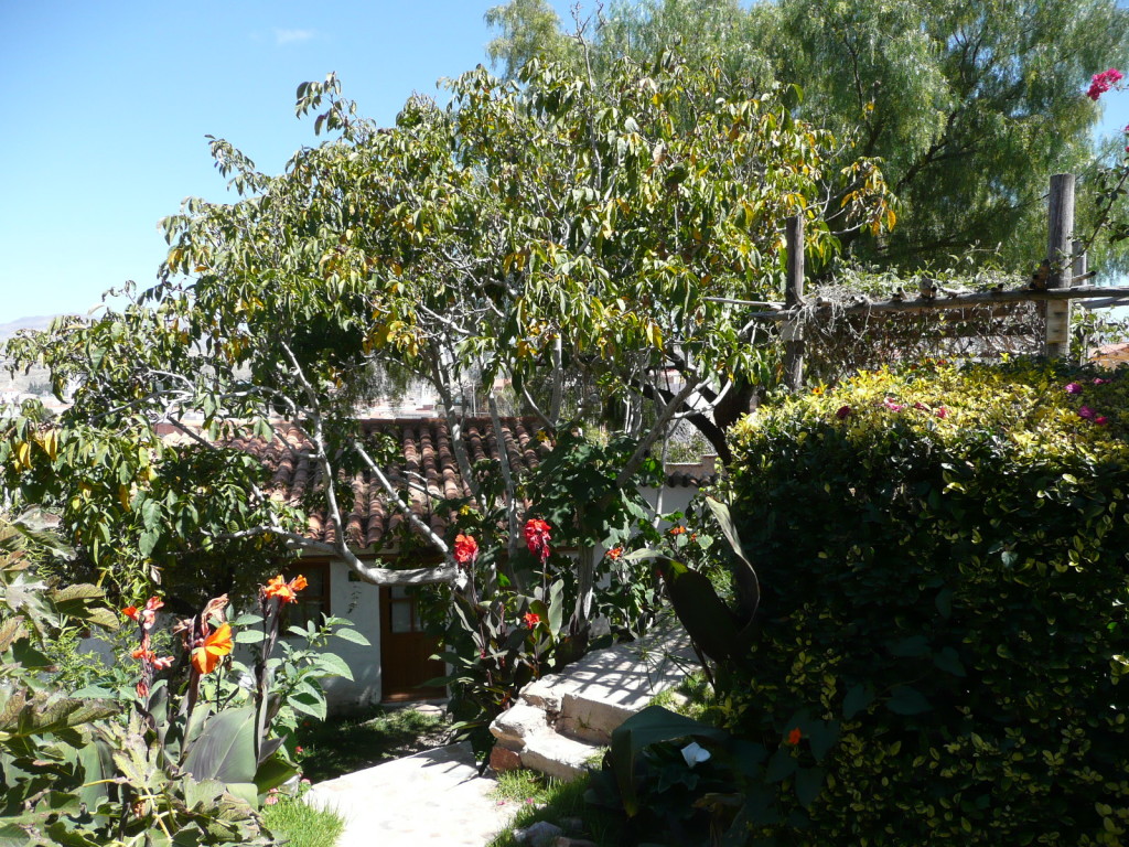 P1090199