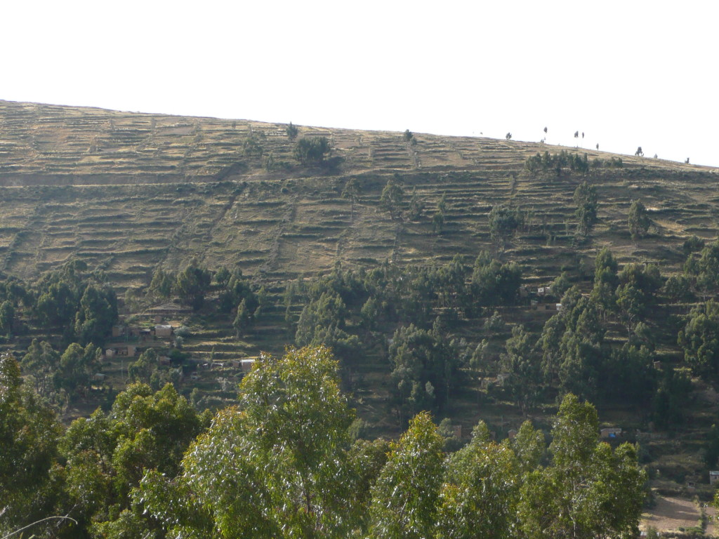 Inca terracing can be seen everywhere