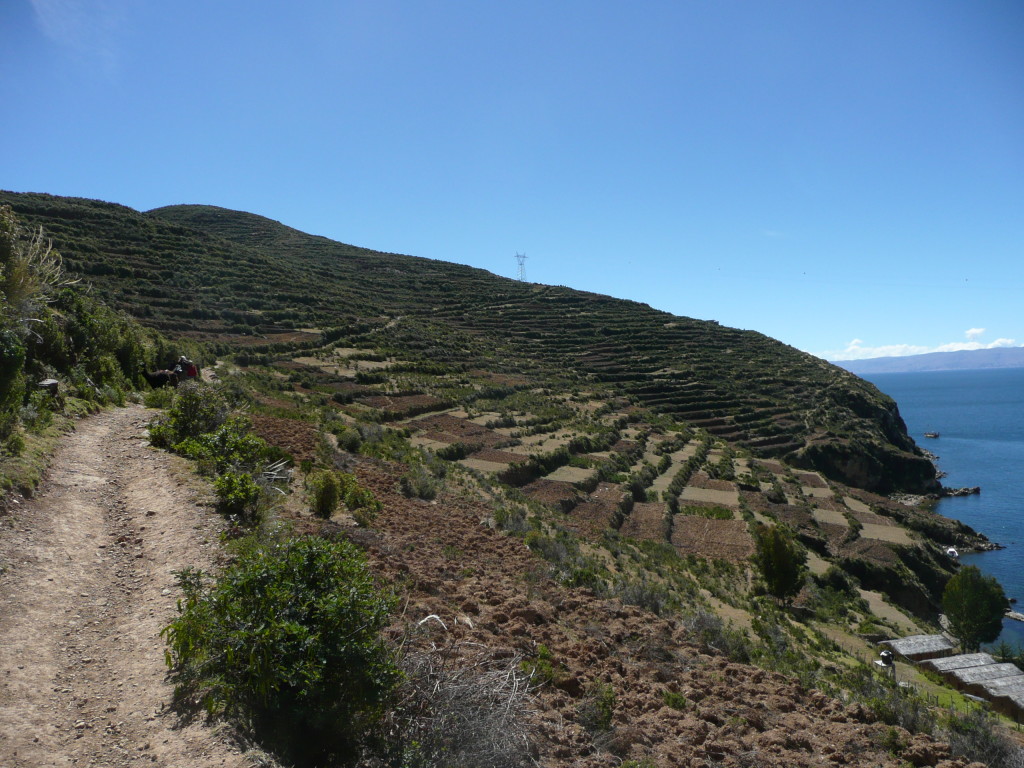 Inca terracing, used for agriculture