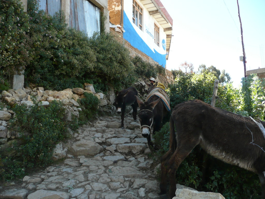 Peak hour traffic on Isla del Sol!