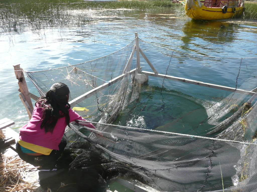 Girl catching our lunch