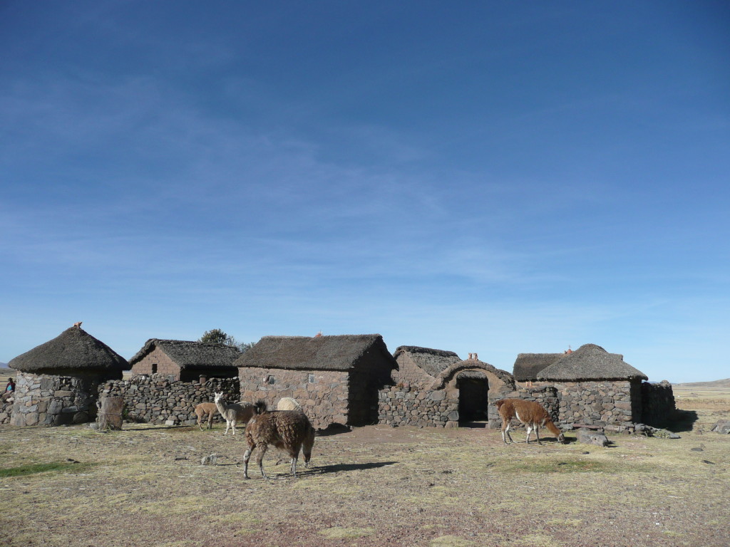 Awesome complext near Sillustani.  All the houses in this village looked like this, something we didn't see anywhere else in Peru.