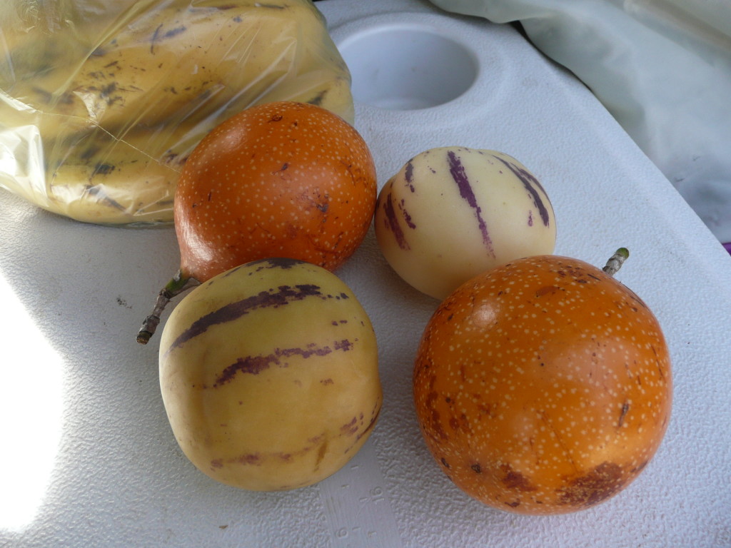 New fruit to try, the orange fruit is a sort of giant passion fruit, very nice tasting and less bitter than purple passion fruit.  The other fruit is a sort of mini rock melon.