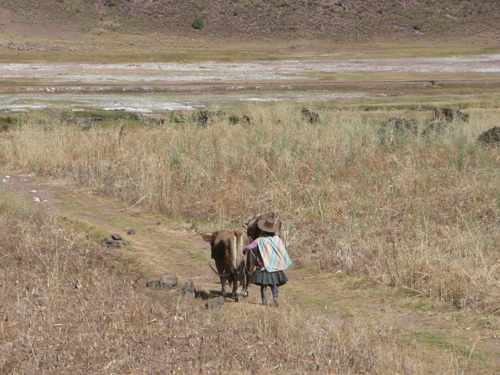 Countryside in Peru.
