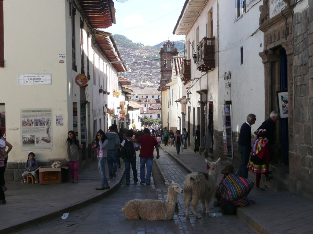 Typical street in Cuzco... just a couple of llamas hangin'.