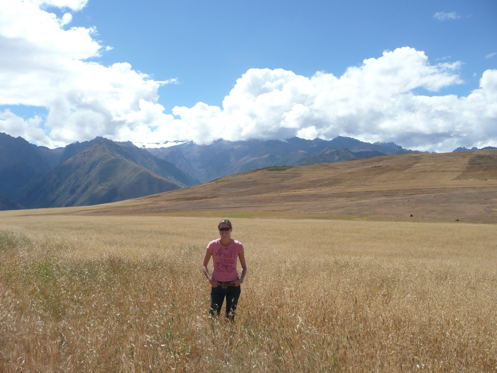 Driving away from Urubamba we came across field after field filled with various grain, wheat and quinoa crops.