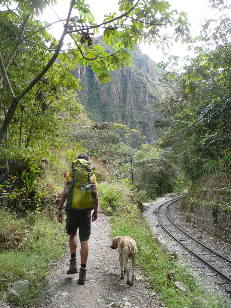 Man's best friend.  