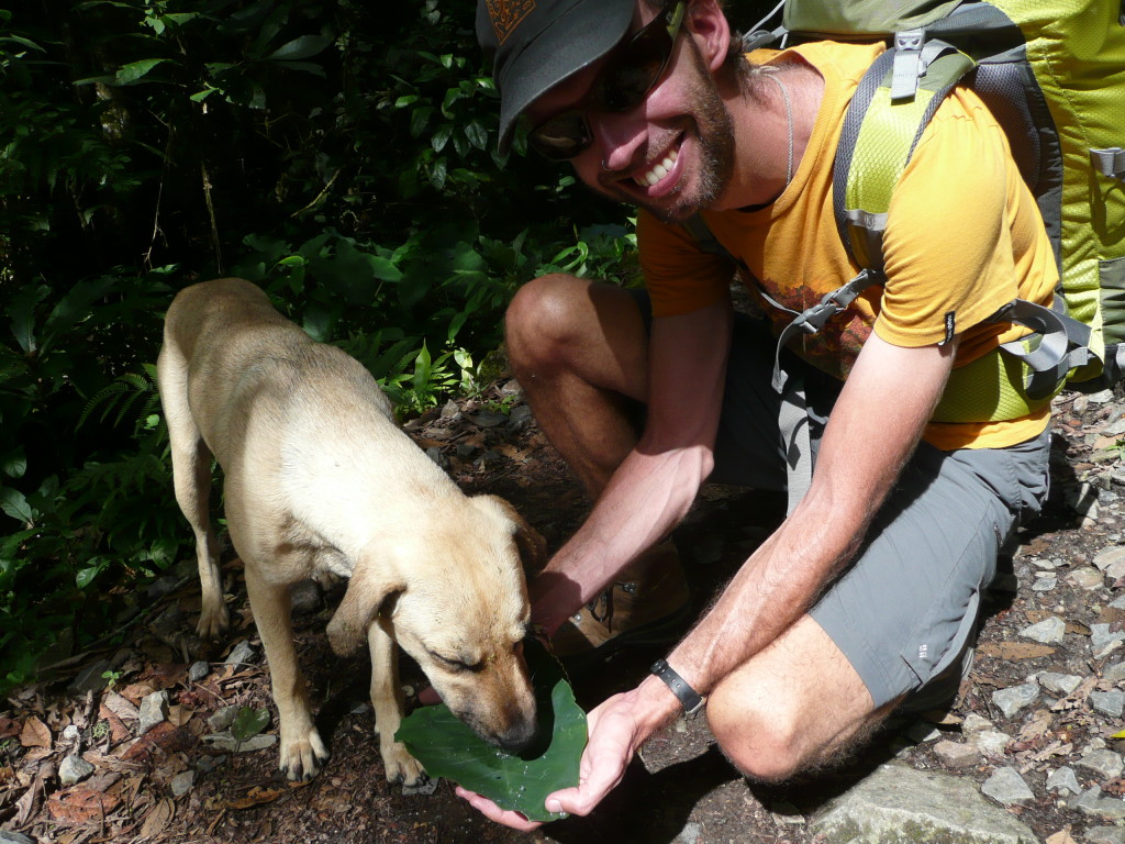 Watering the dog.  Must keep hydrated in the heat!