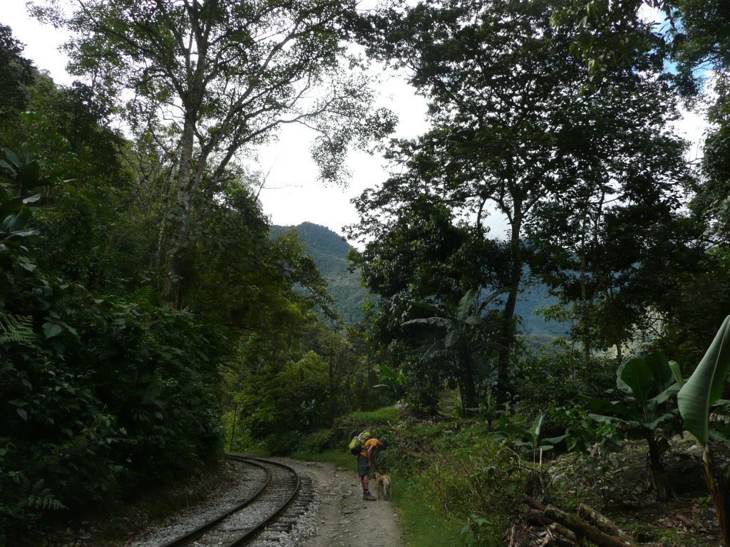 P1100235