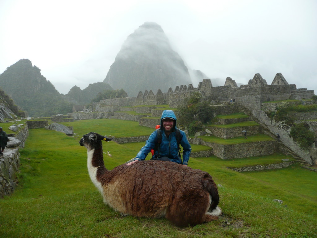 Poor wet llama!