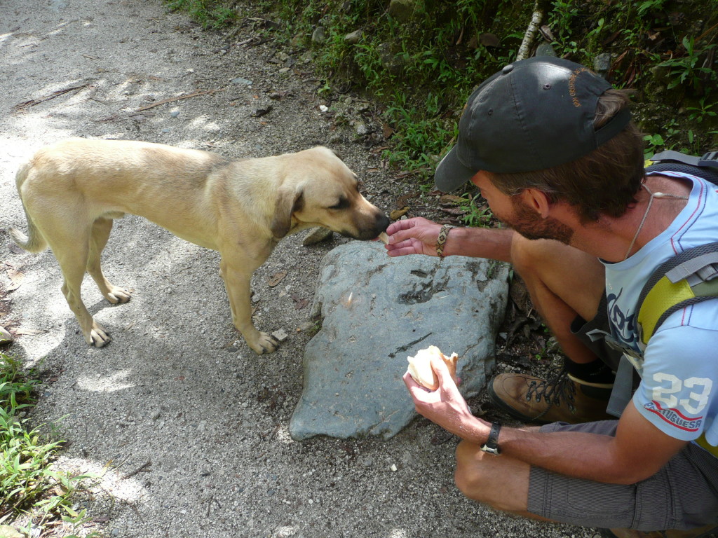 Feeding the dog his cheese sandwich.
