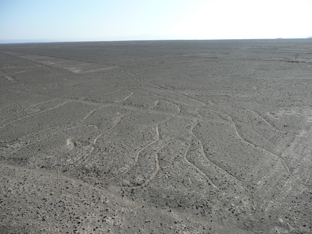 Nazca Lines - Tree