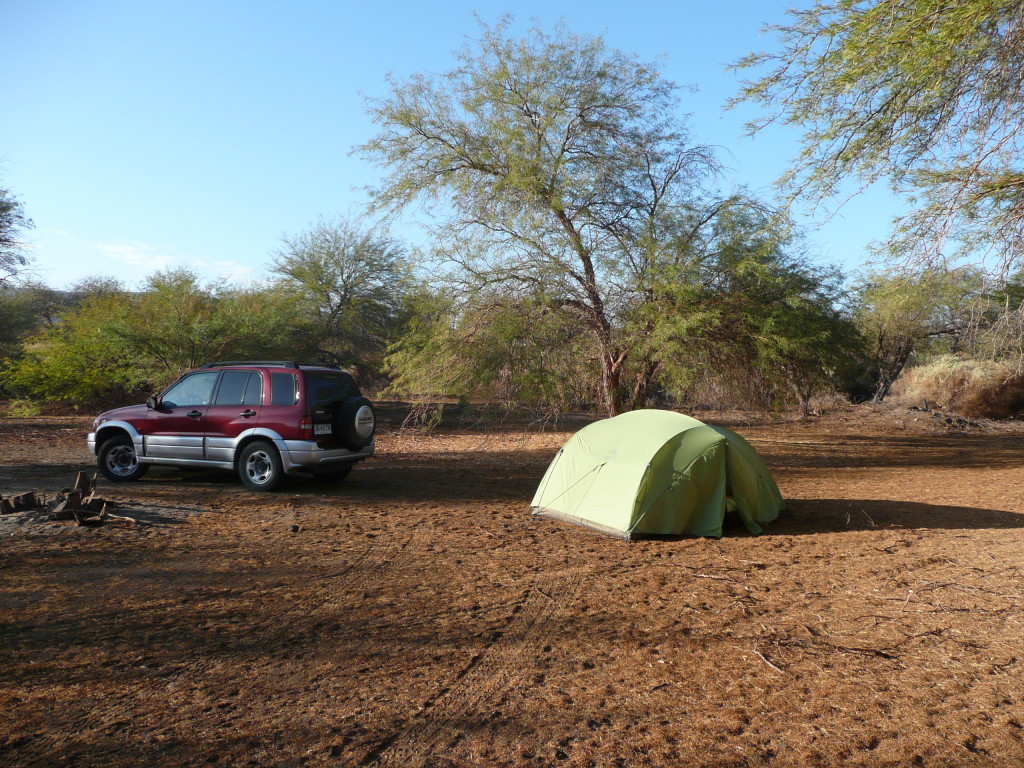 Freedom camping in an oasis