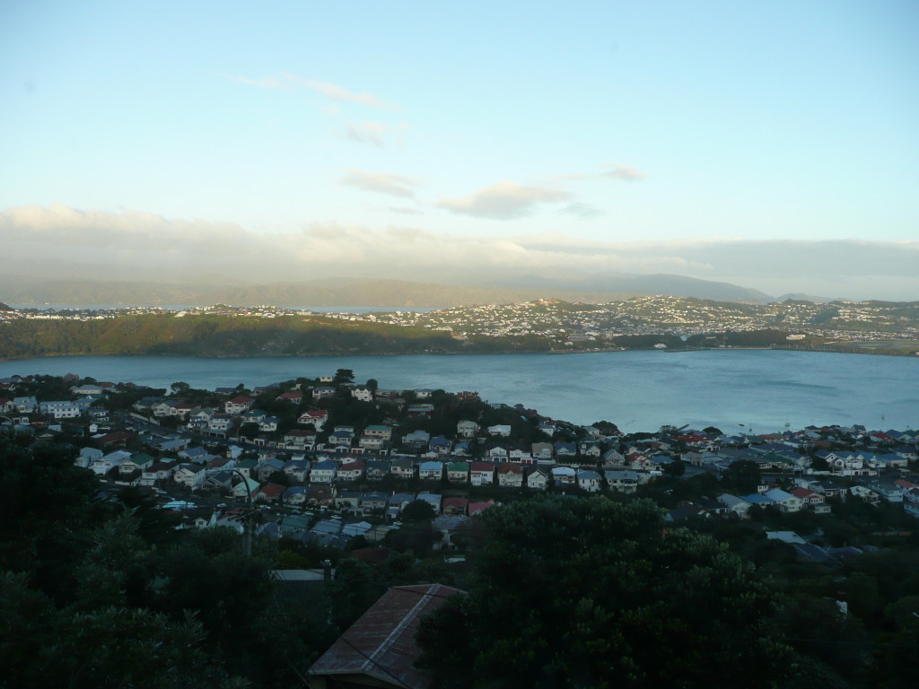View from our friends place in Hataitai