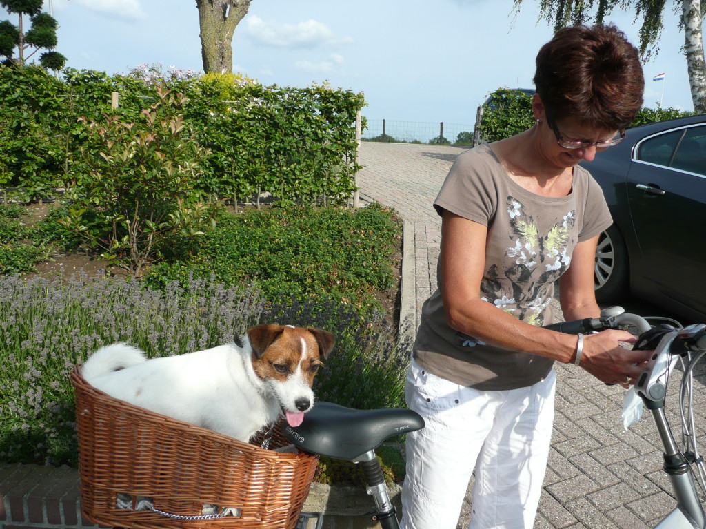 Ada taking Jip for a cycle ride.  Jip loves going cycling too!