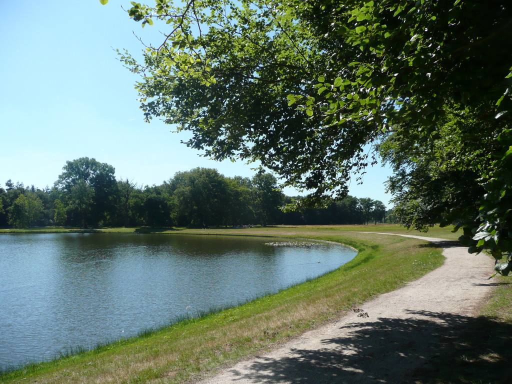 Cycle trail at Hoge Veluwe National Park