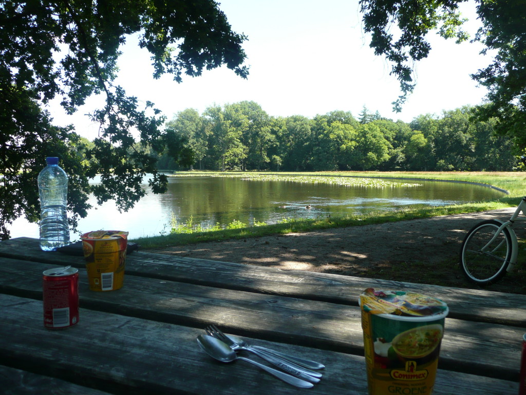Yummy lunch of hot noodles overlooking a lake in Hoge Veluwe National Park