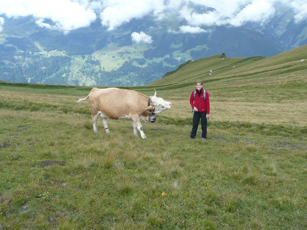 Julia seeking wildlife experiences in the mountains, here a cow is spotting her