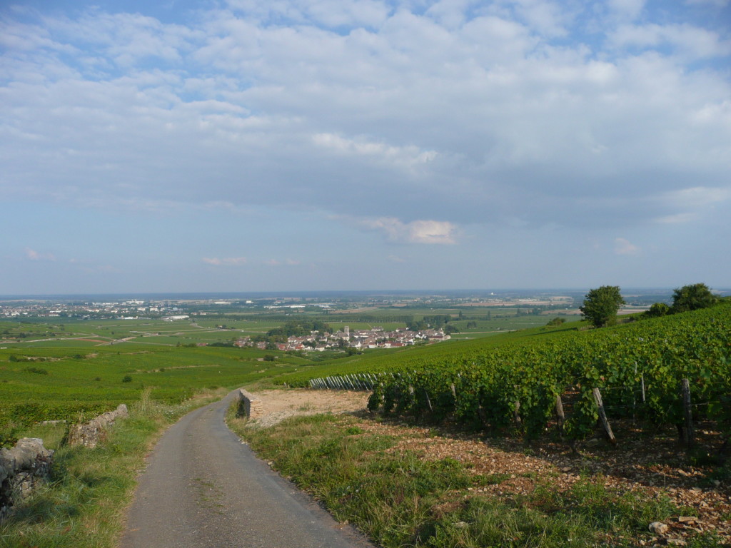Easy scenic hiking trail around the outskirts of Meursault amongst the vines. Everywhere you look, there is something beautiful to see!