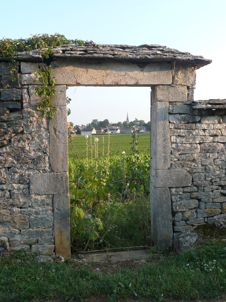 A nice view of Meursault village from a cycling trail.