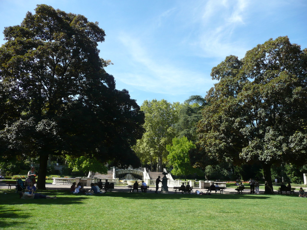 In the Garden of Darcy. :)