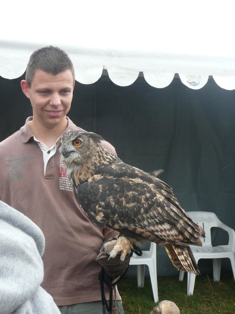 Now this is an owl, Harry!