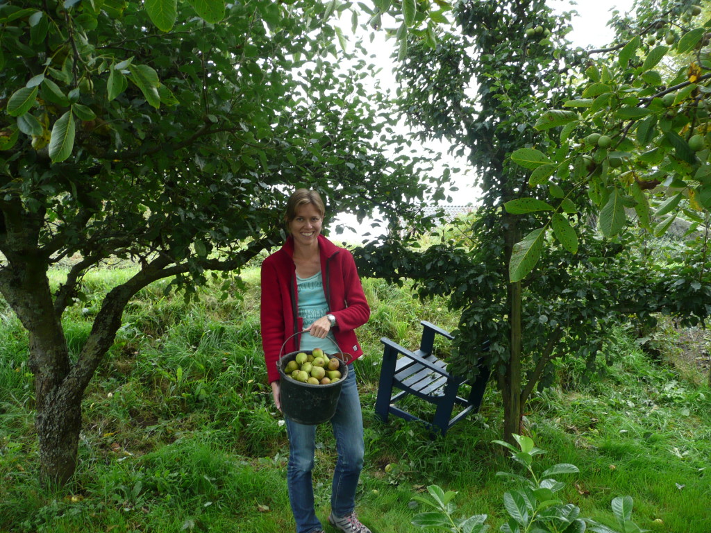 Julia picks crate after crate of apples
