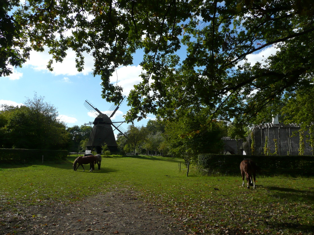 Funen Village - Windmill and paddock where old horses come to graze til the end of their days.