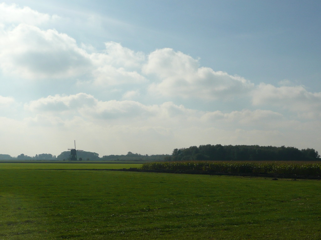 Plenty of windmills around Almkerk