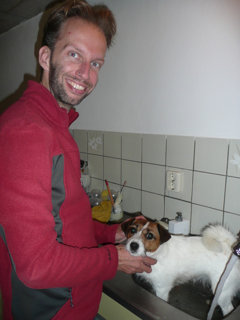 Jack Russells are handy to bath in the sink