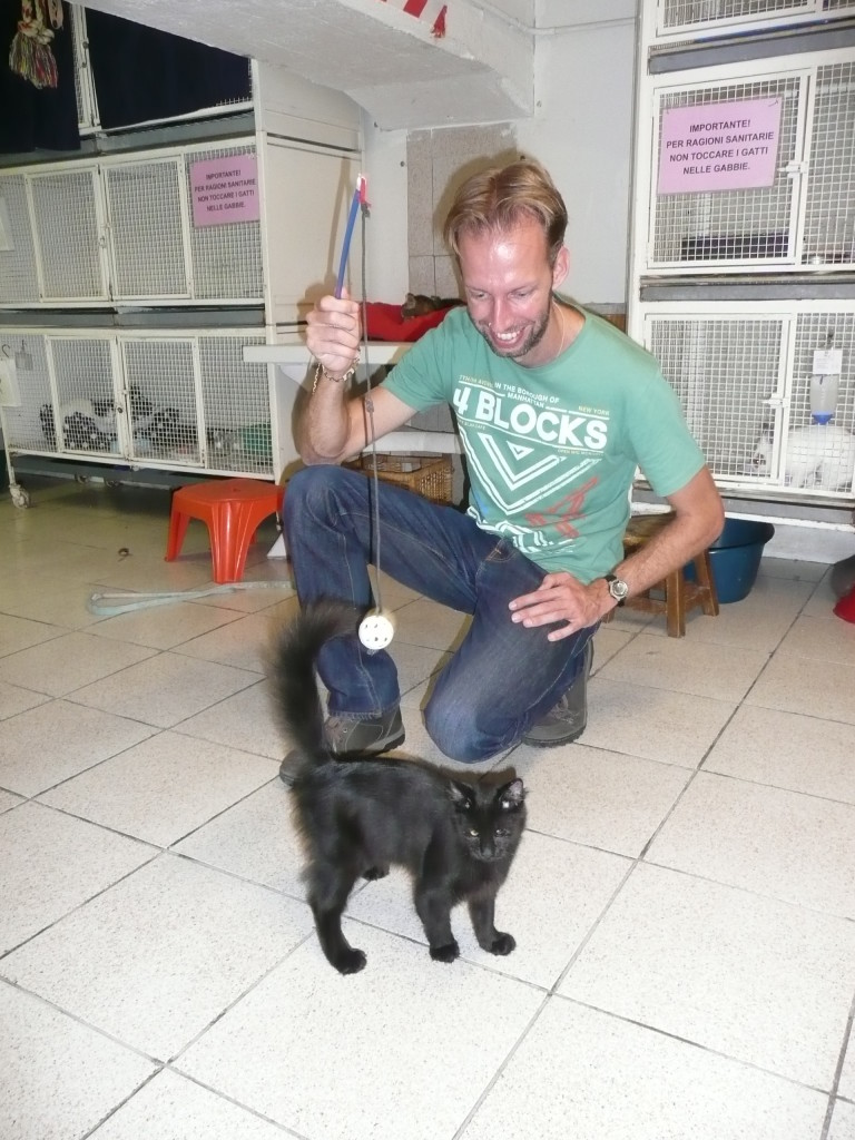 Richard playing with a cat in the Cat Sanctuary.
