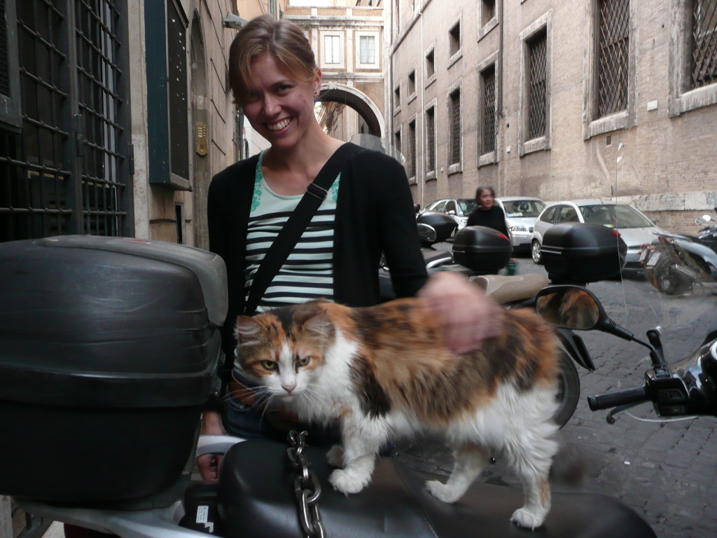 Getting my birthday cat patting in!