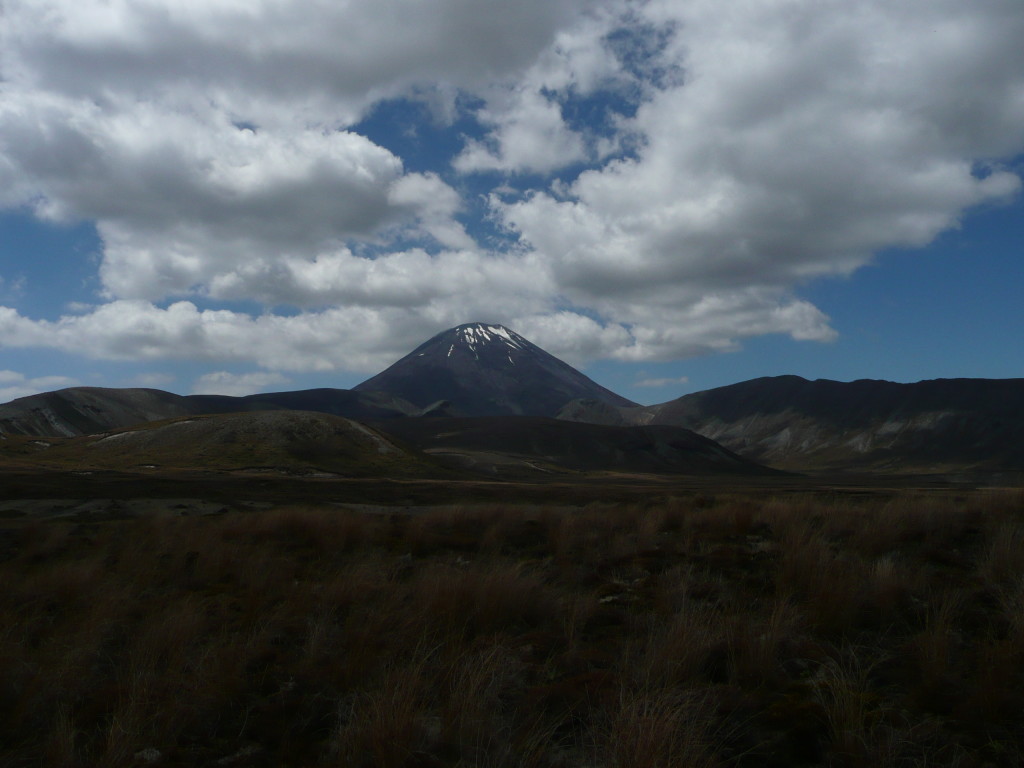 P1130555
